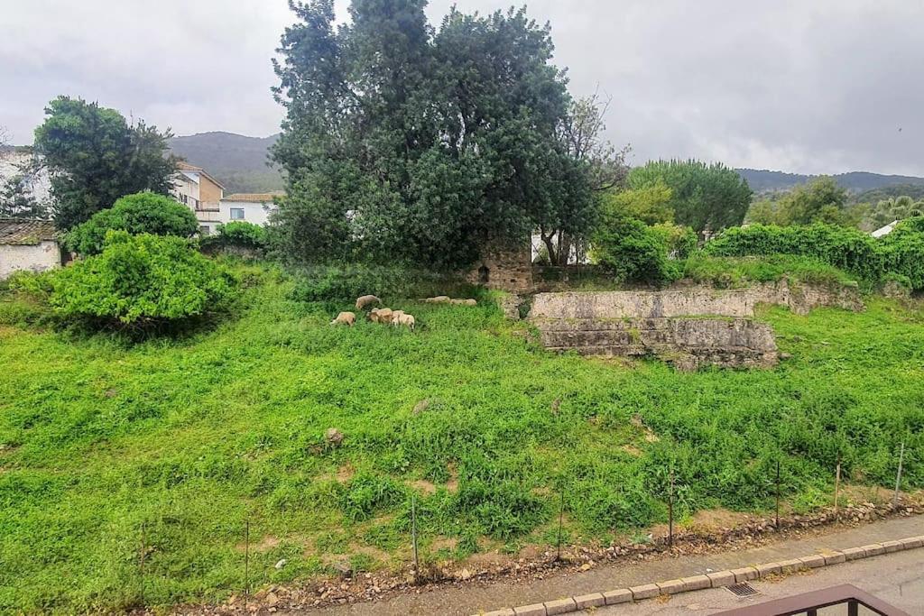 Apartament La Terracita Del Bosque Zewnętrze zdjęcie